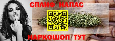 МДПВ Сланцы