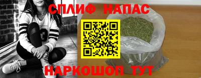 МДПВ Сланцы