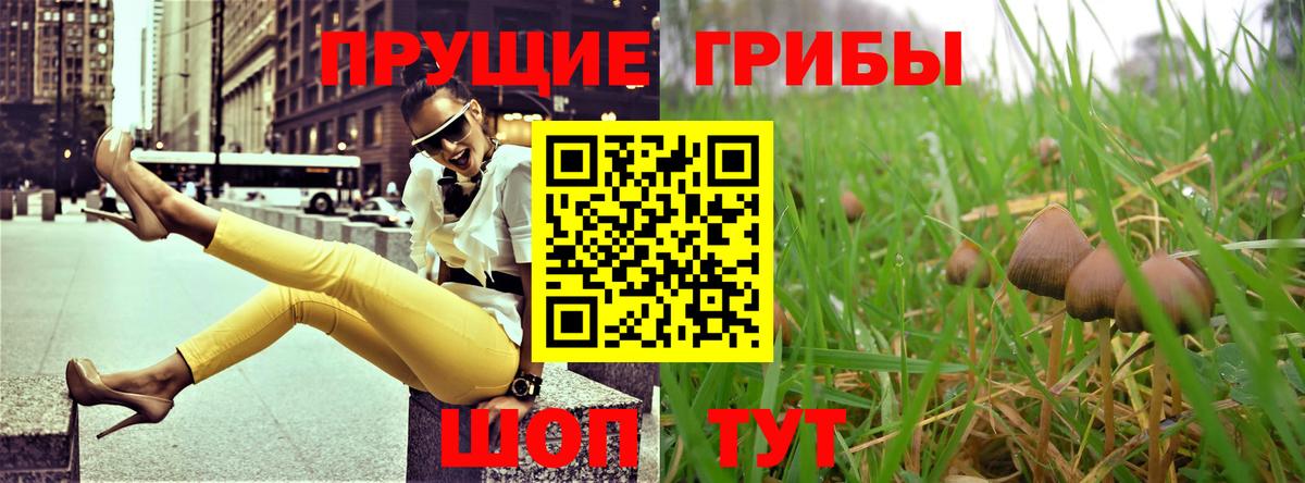 Новоалександровск  Псилоцибиновые грибы GOLDEN TEACHER  что такое   Вход с VPN 